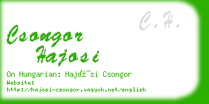 csongor hajosi business card